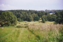 den Naturpark im Blickfeld
